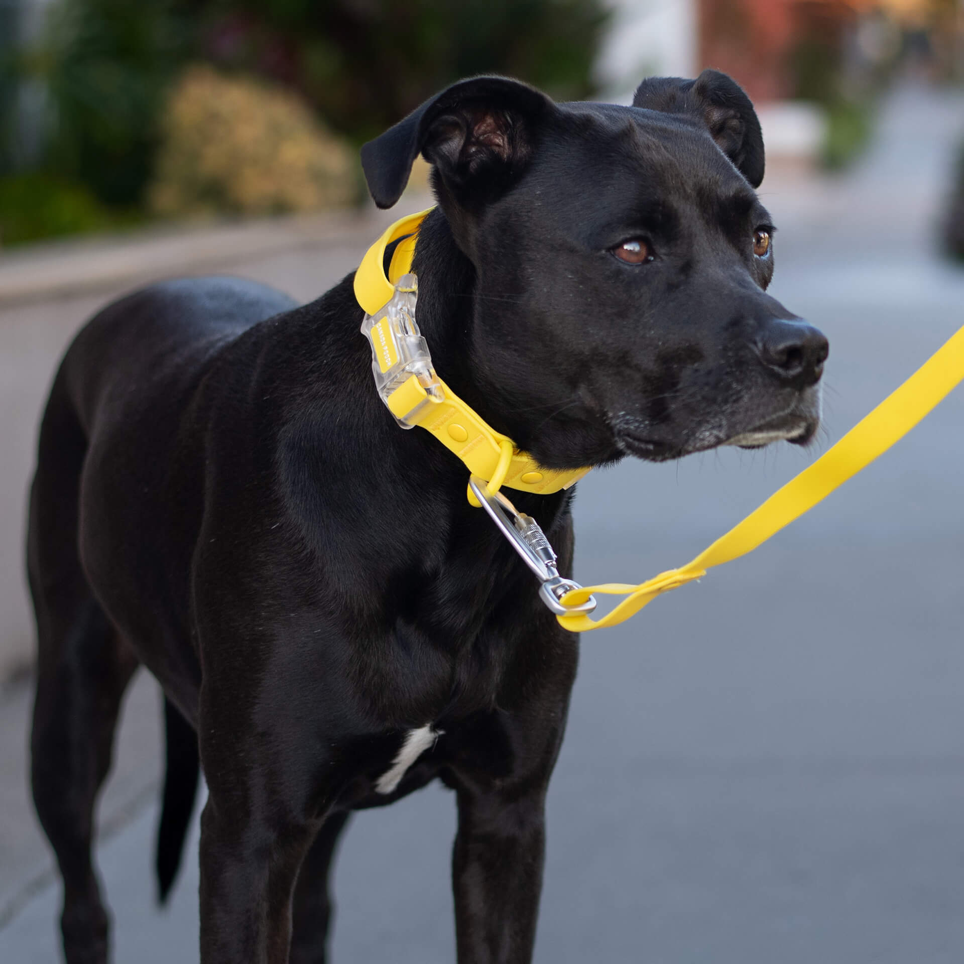 Waterproof Collar - MEF4