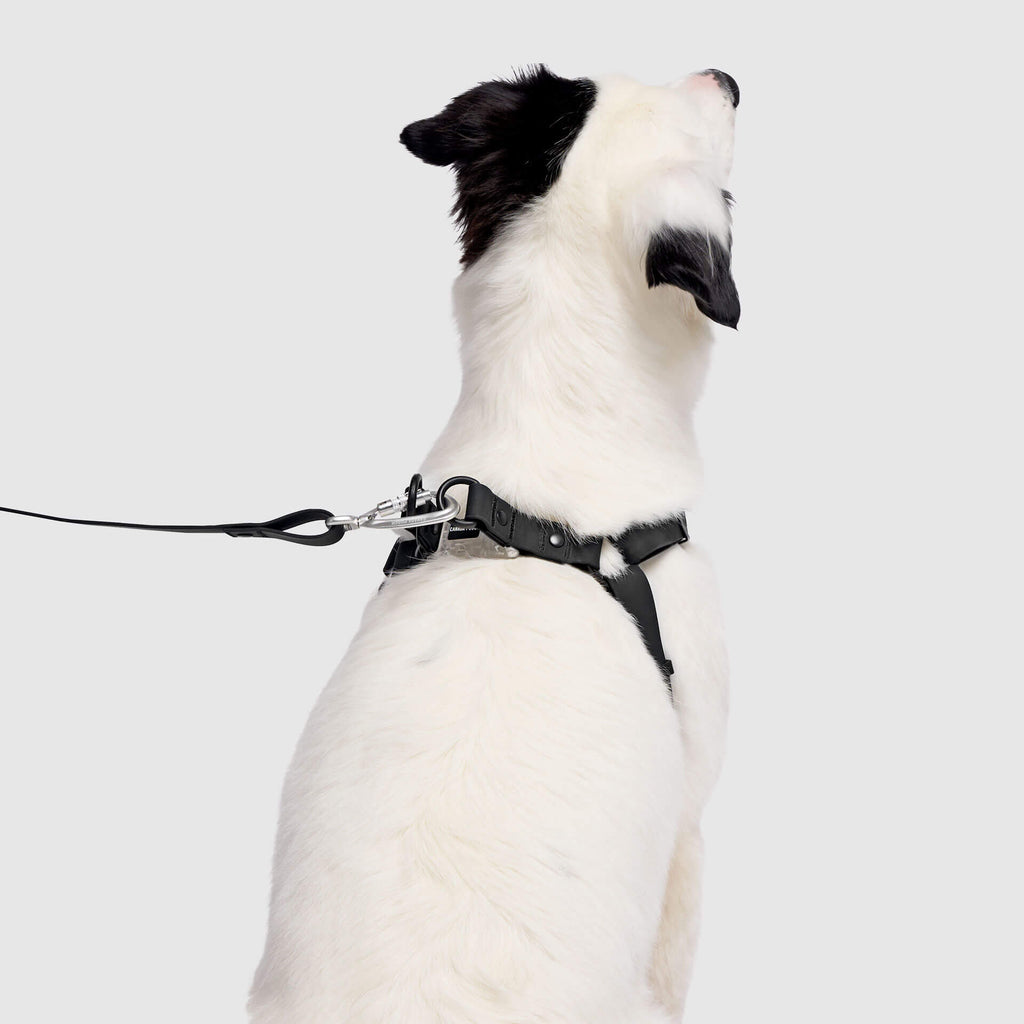 Waterproof Harness - UO6I