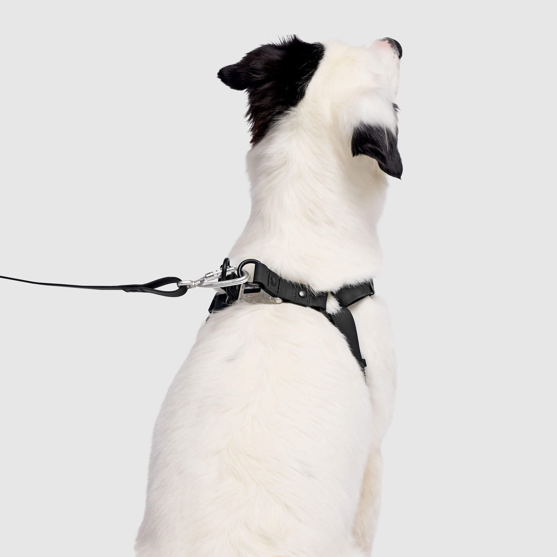 Waterproof Harness - UO6I