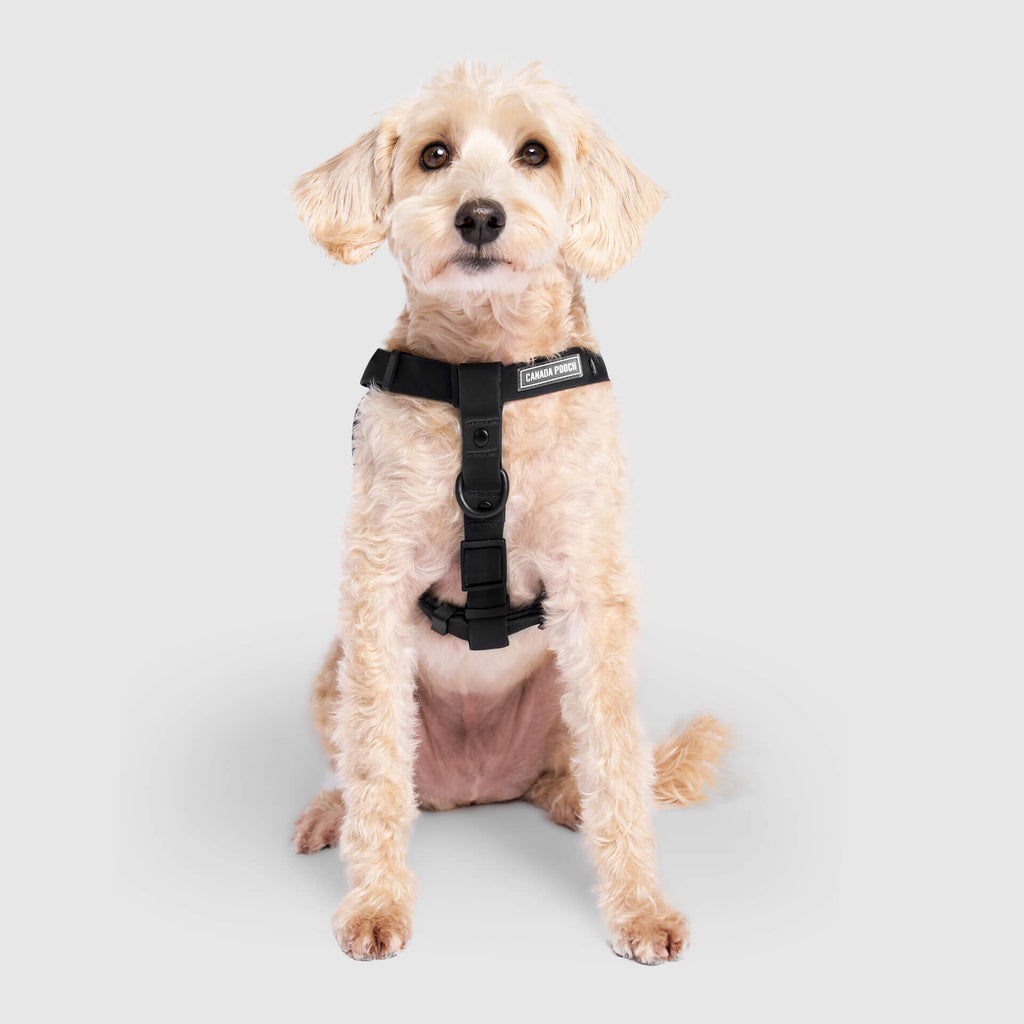 Waterproof Harness - UO6I