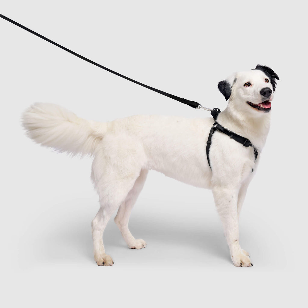 Waterproof Harness - UO6I