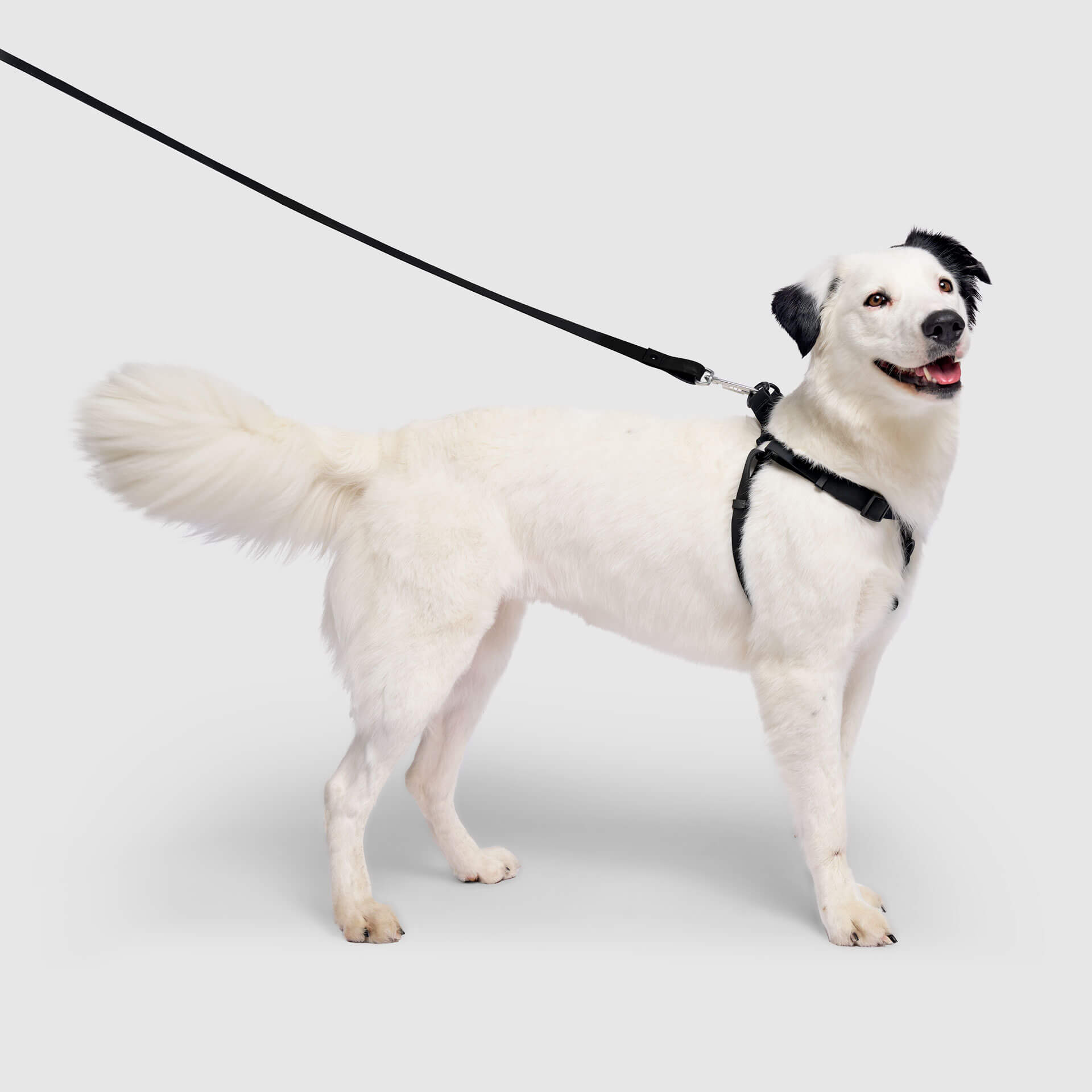 Waterproof Harness - UO6I