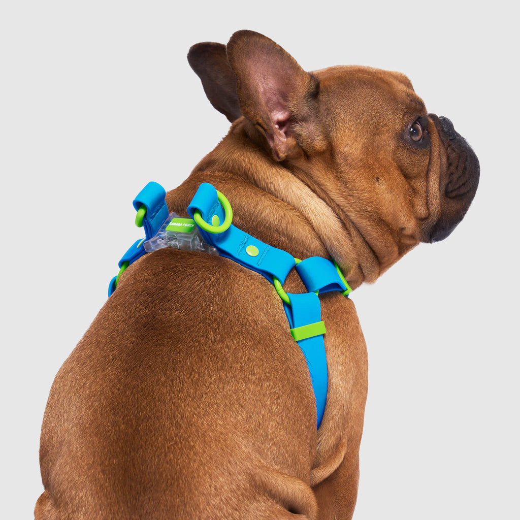 Waterproof Harness - UO6I