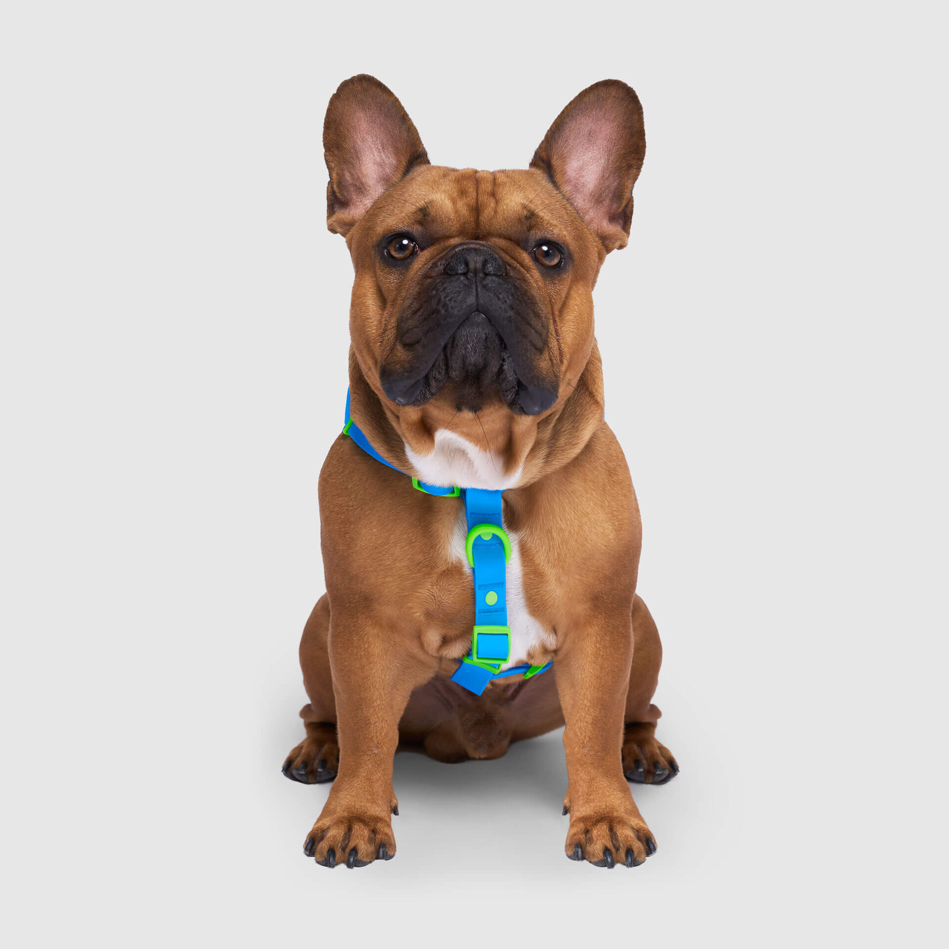 Waterproof Harness - UO6I