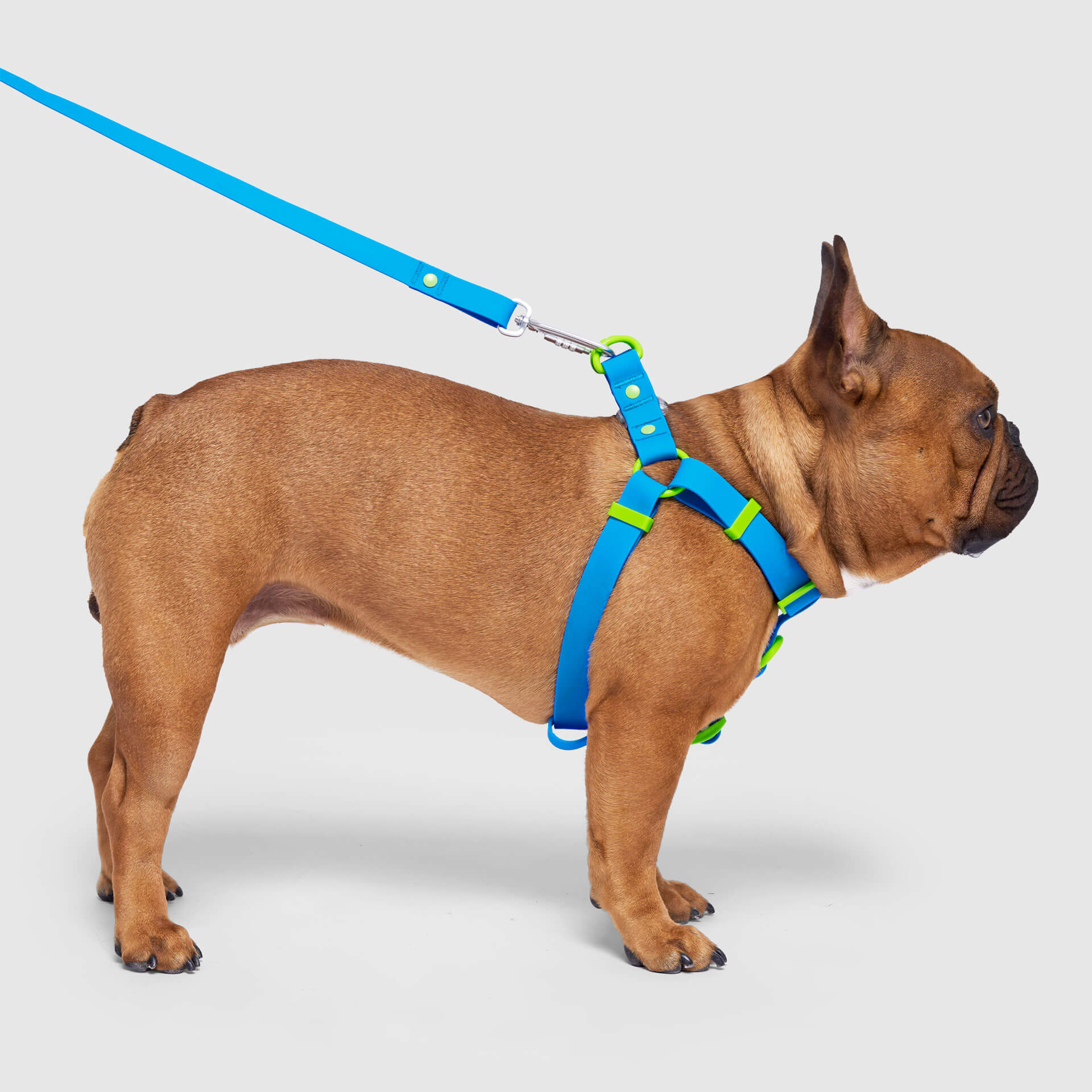 Waterproof Harness - UO6I