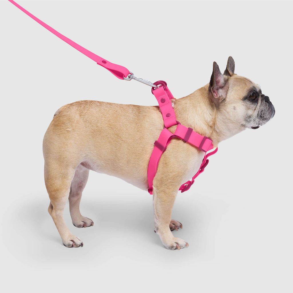 Waterproof Harness - UO6I