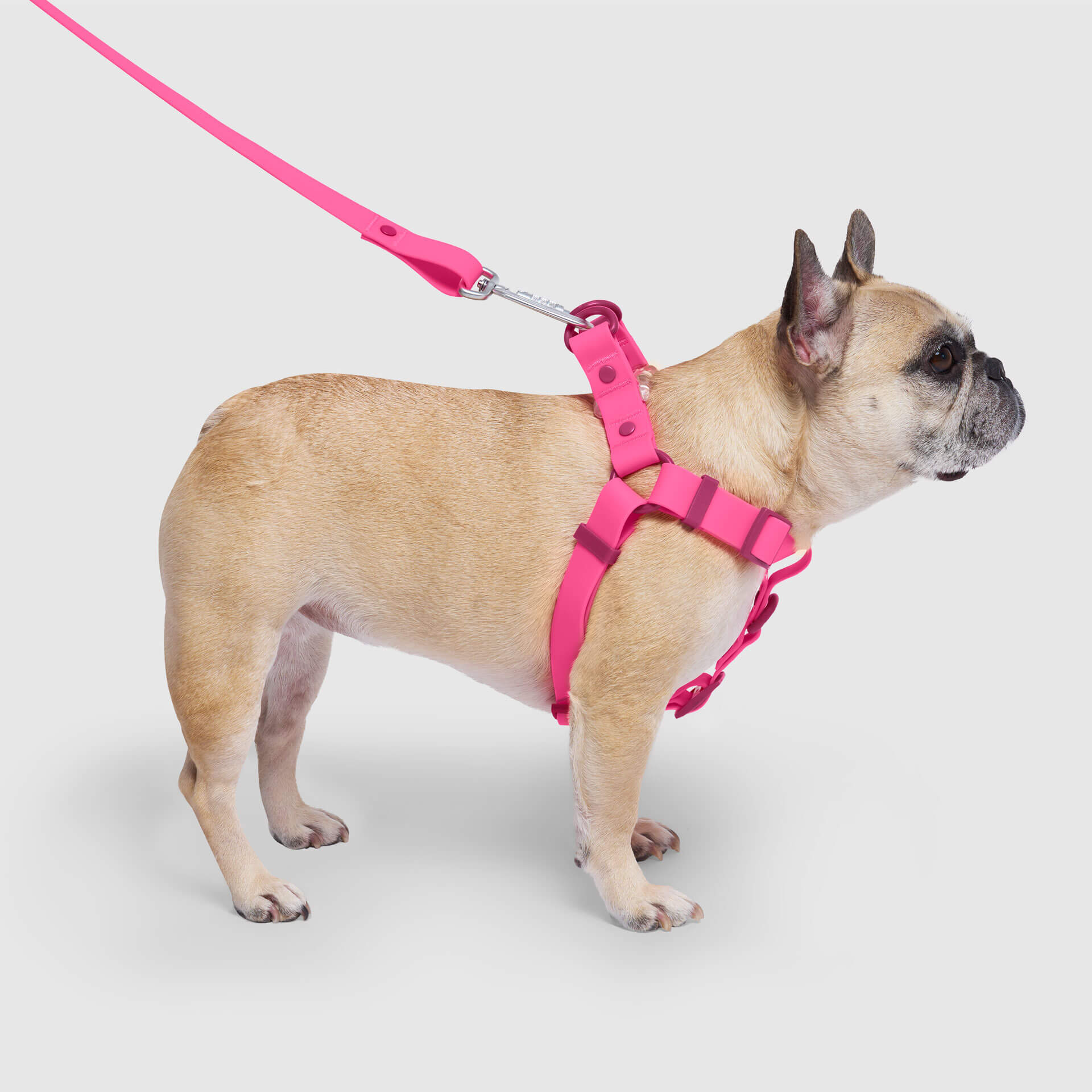 Waterproof Harness - UO6I