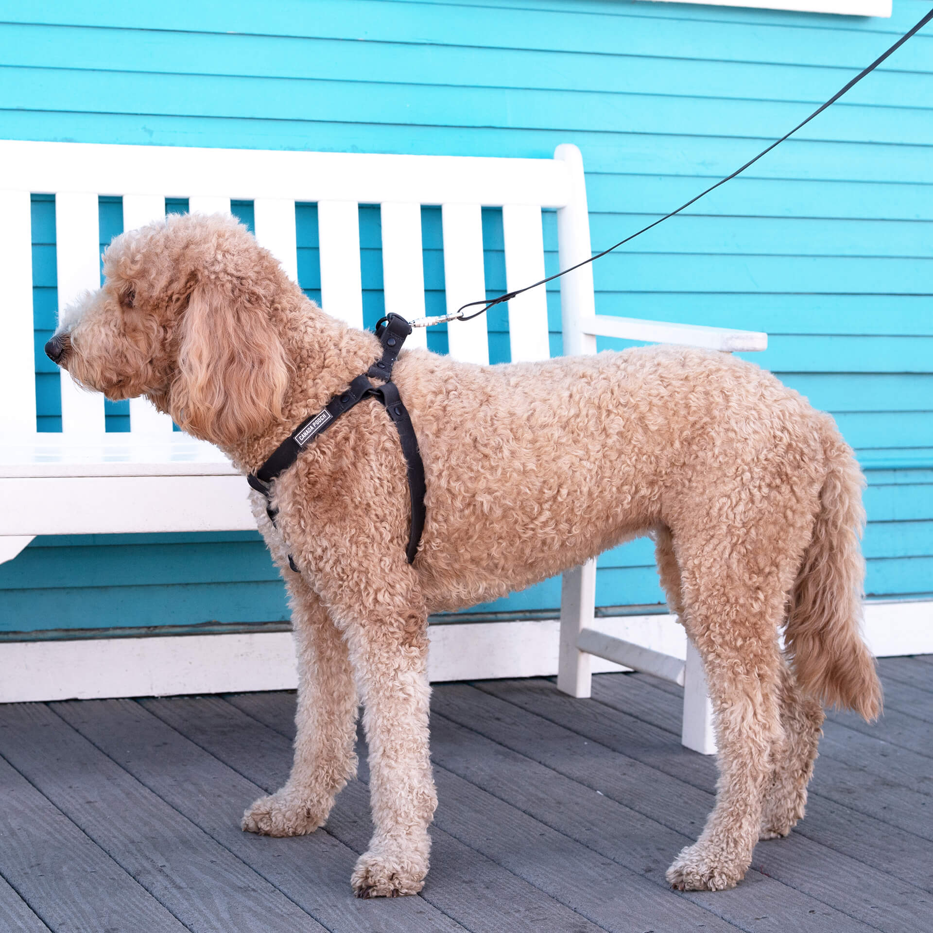 Waterproof Harness - UO6I