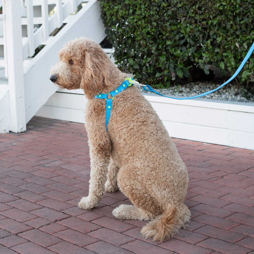 Waterproof Harness - UO6I