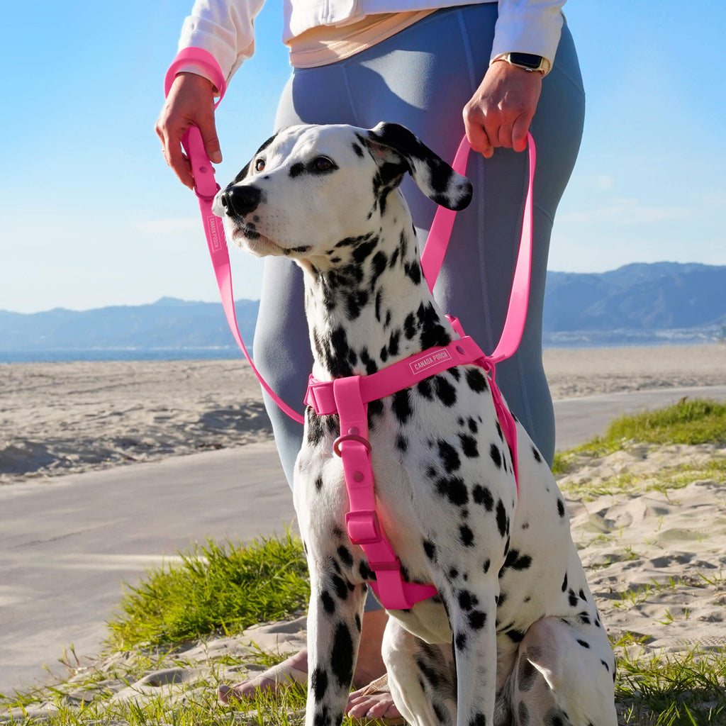 Waterproof Harness - UO6I