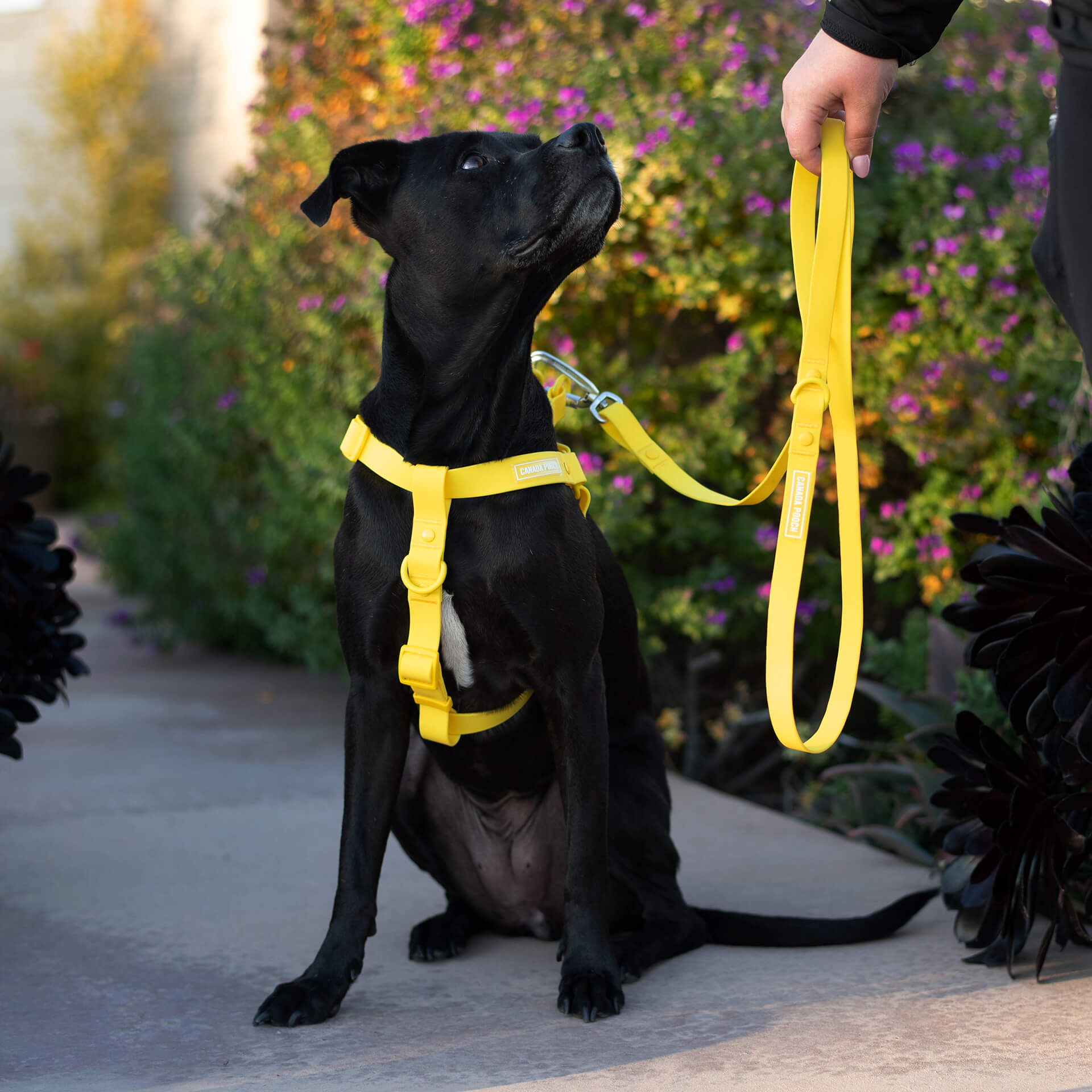 Waterproof Harness - UO6I