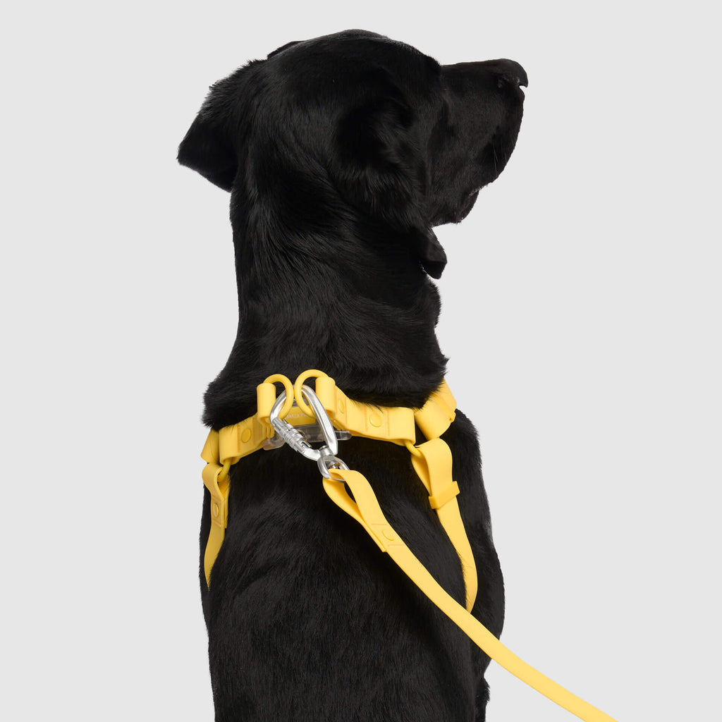 Waterproof Harness - UO6I