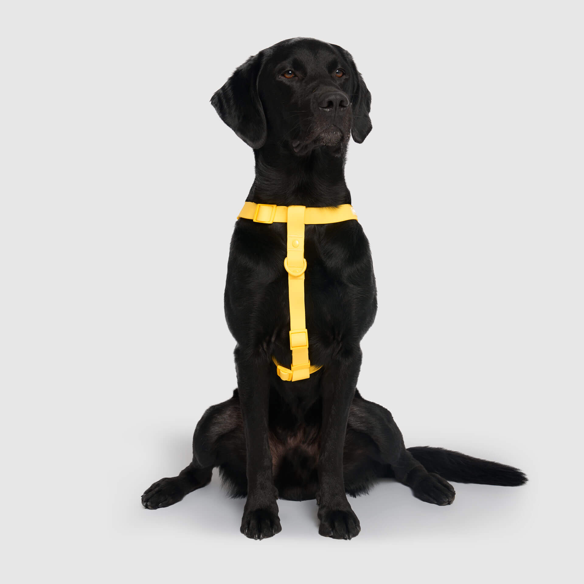 Waterproof Harness - UO6I