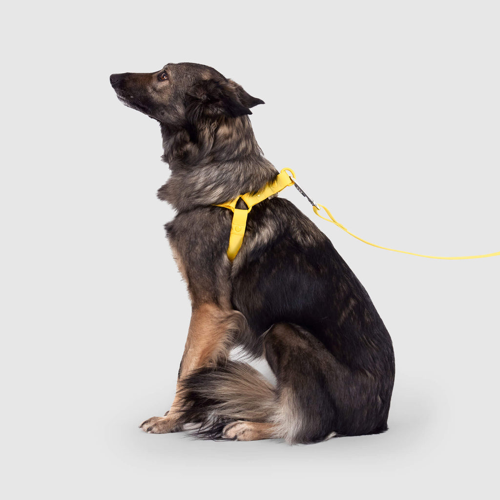 Waterproof Harness - UO6I