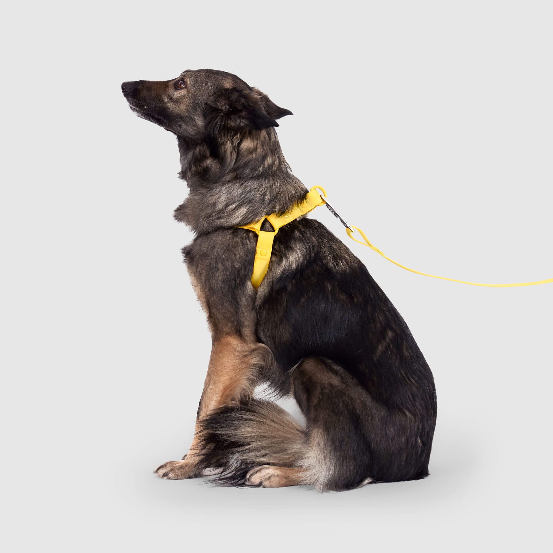 Waterproof Harness - UO6I
