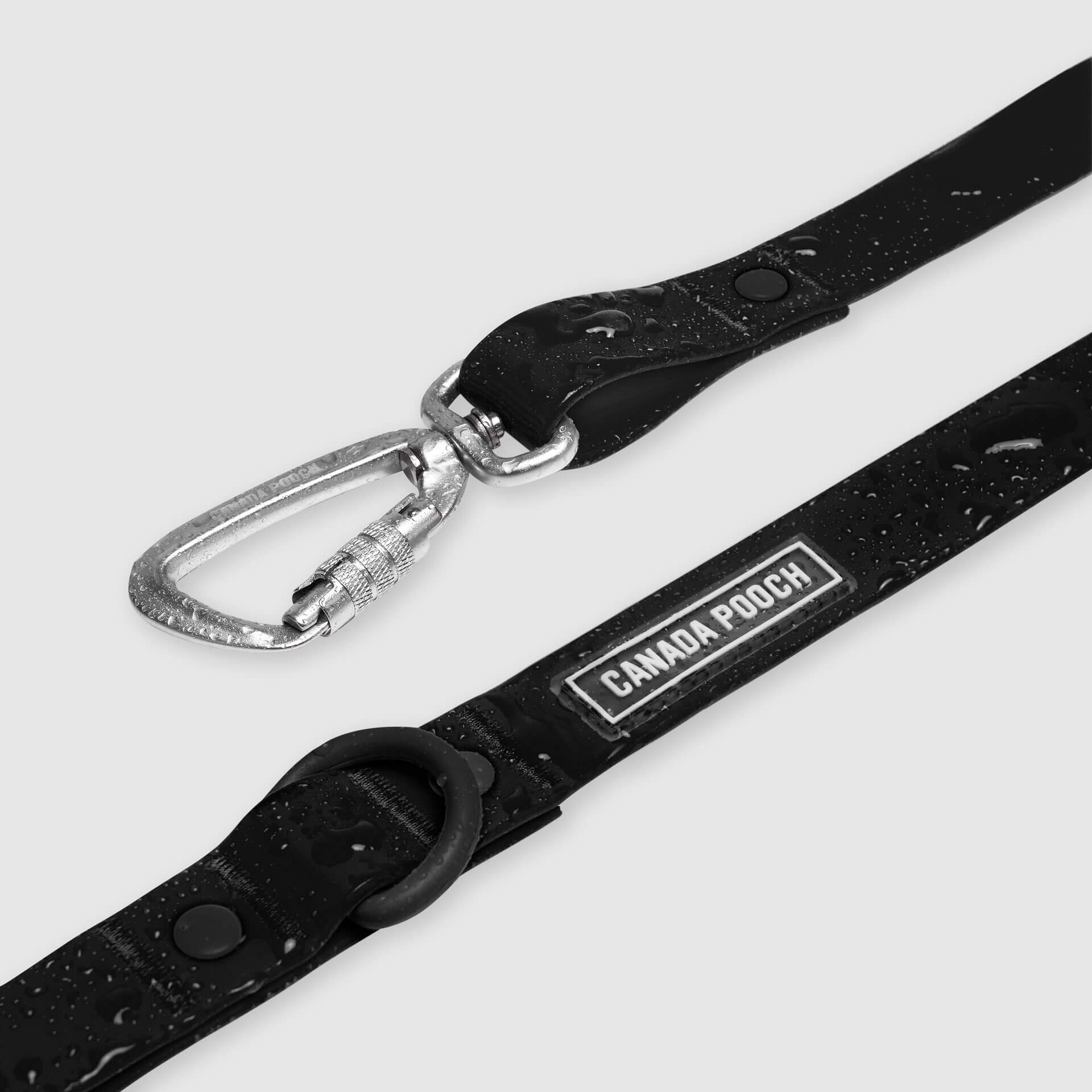 Waterproof Leash - RLEO