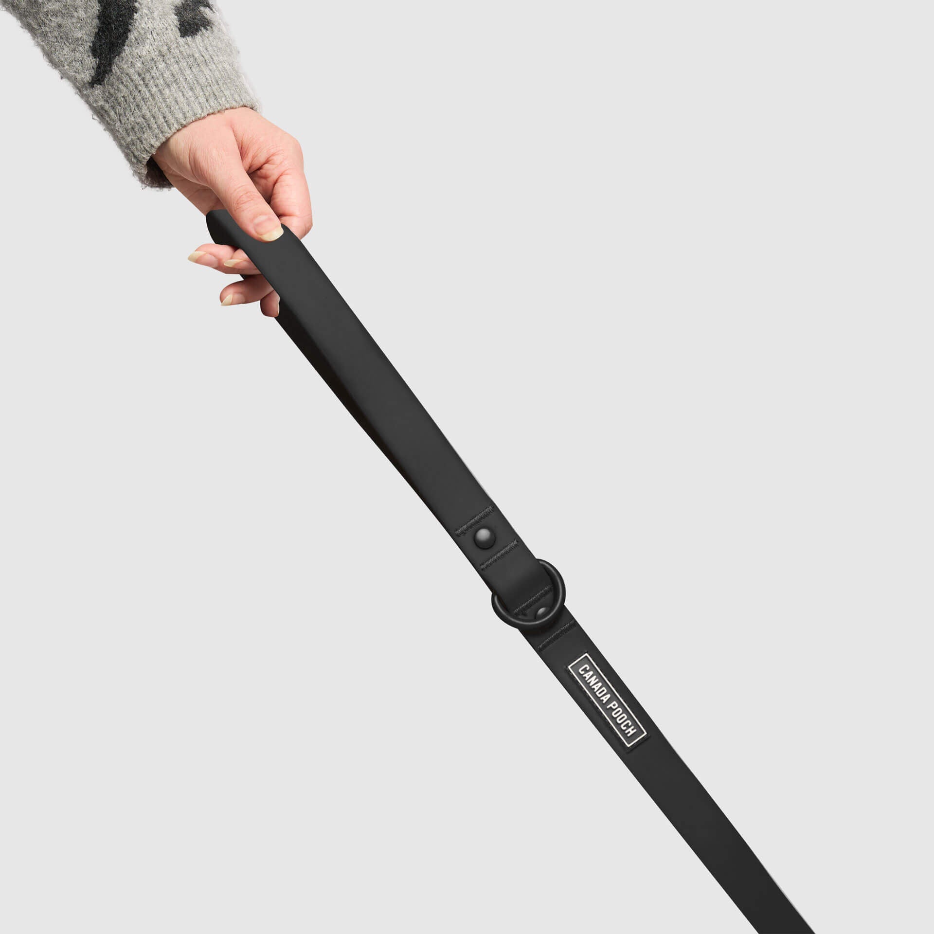 Waterproof Leash - RLEO