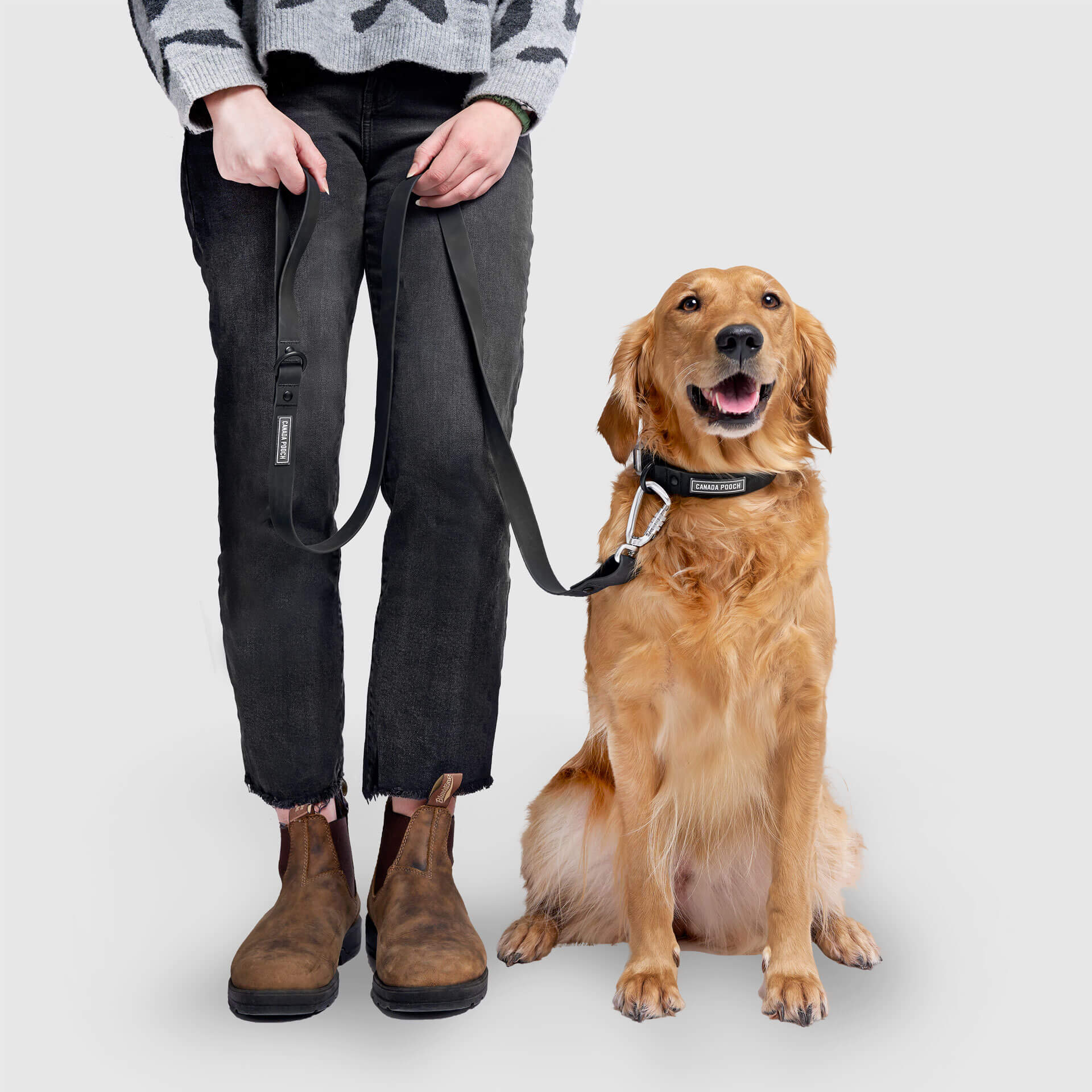 Waterproof Leash - RLEO