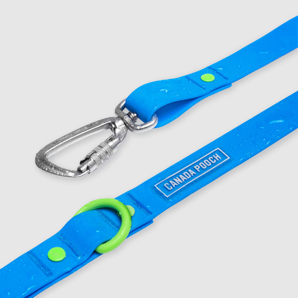 Waterproof Leash - RLEO