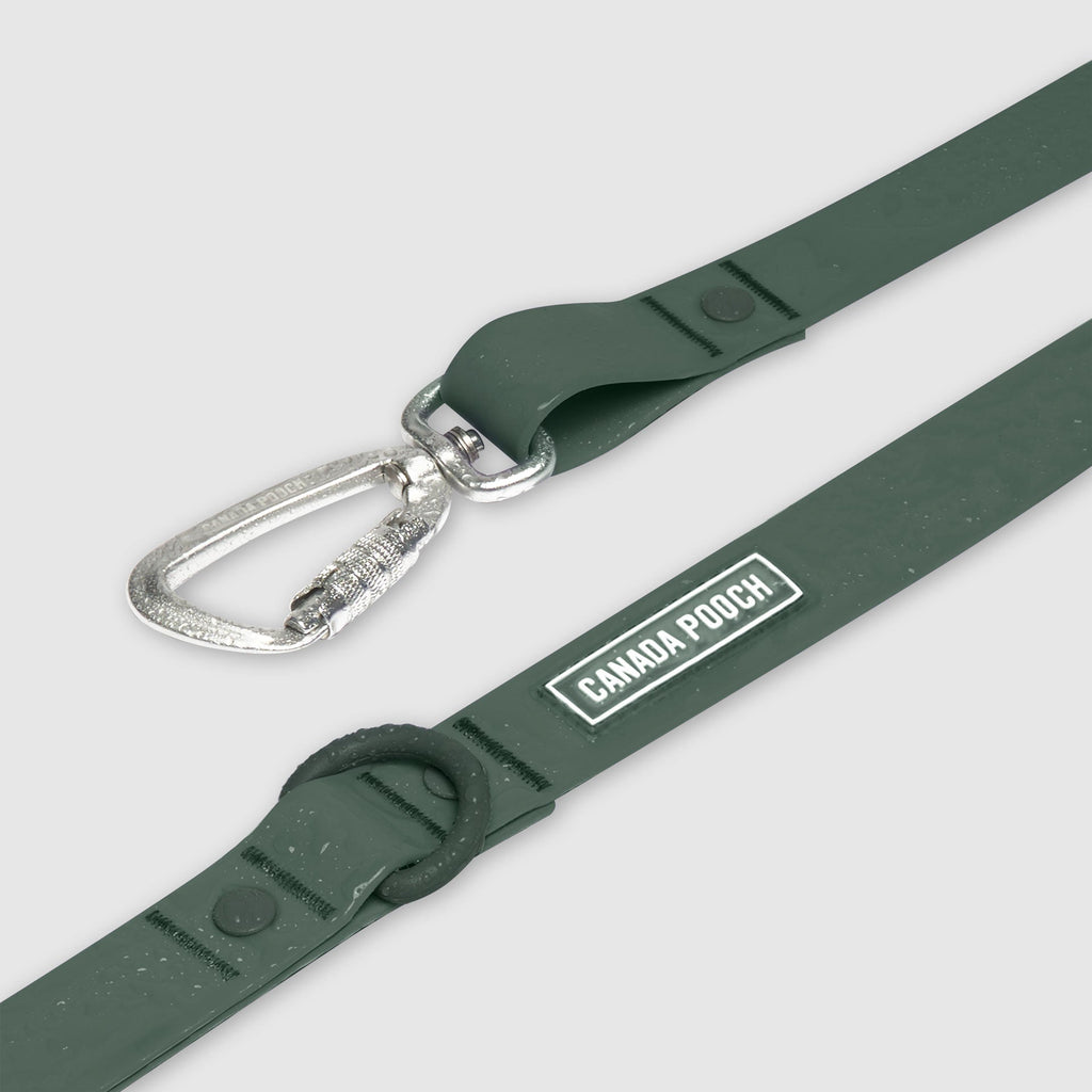 Waterproof Leash - RLEO