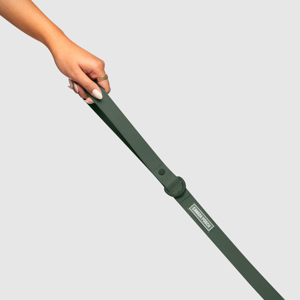 Waterproof Leash - RLEO