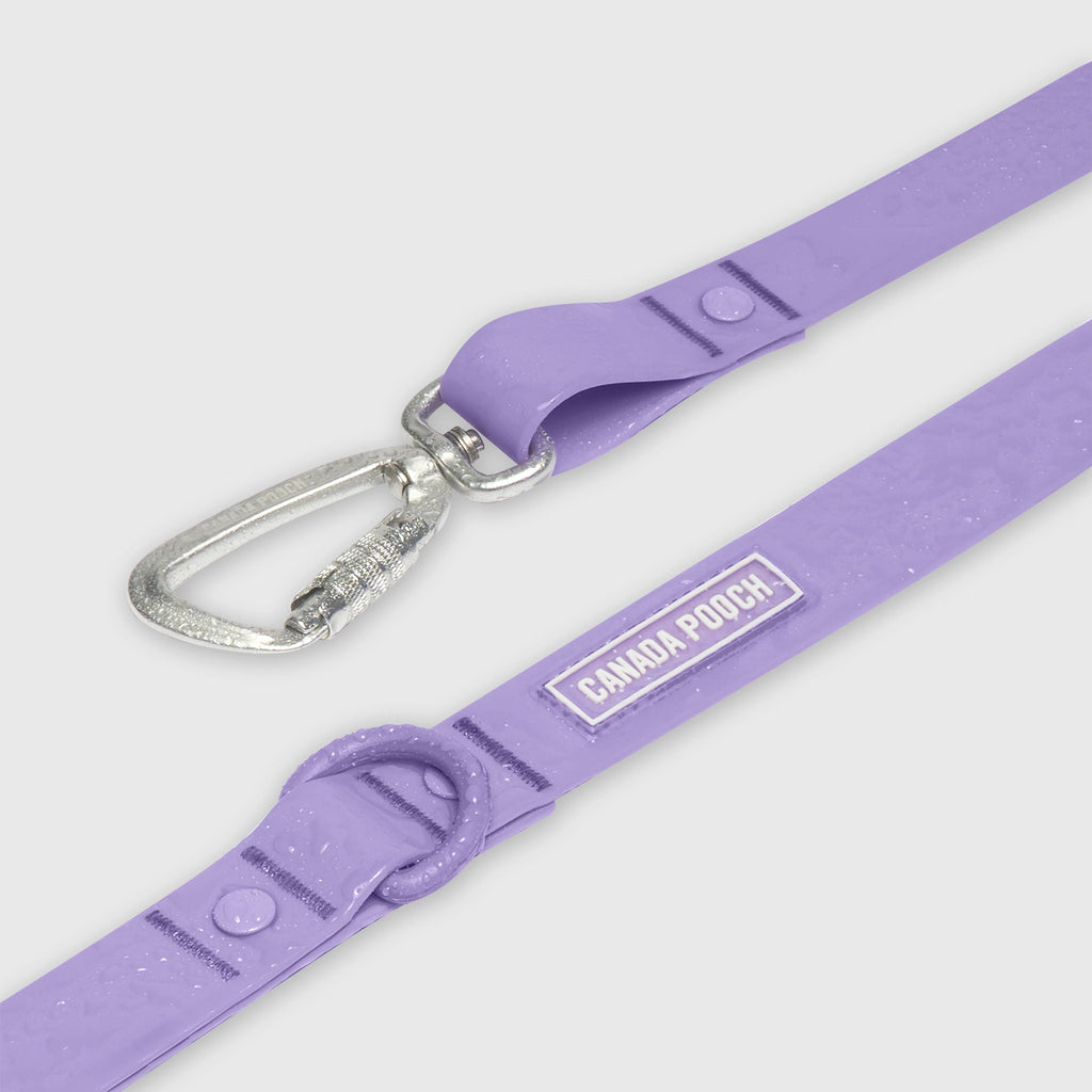 Waterproof Leash - RLEO