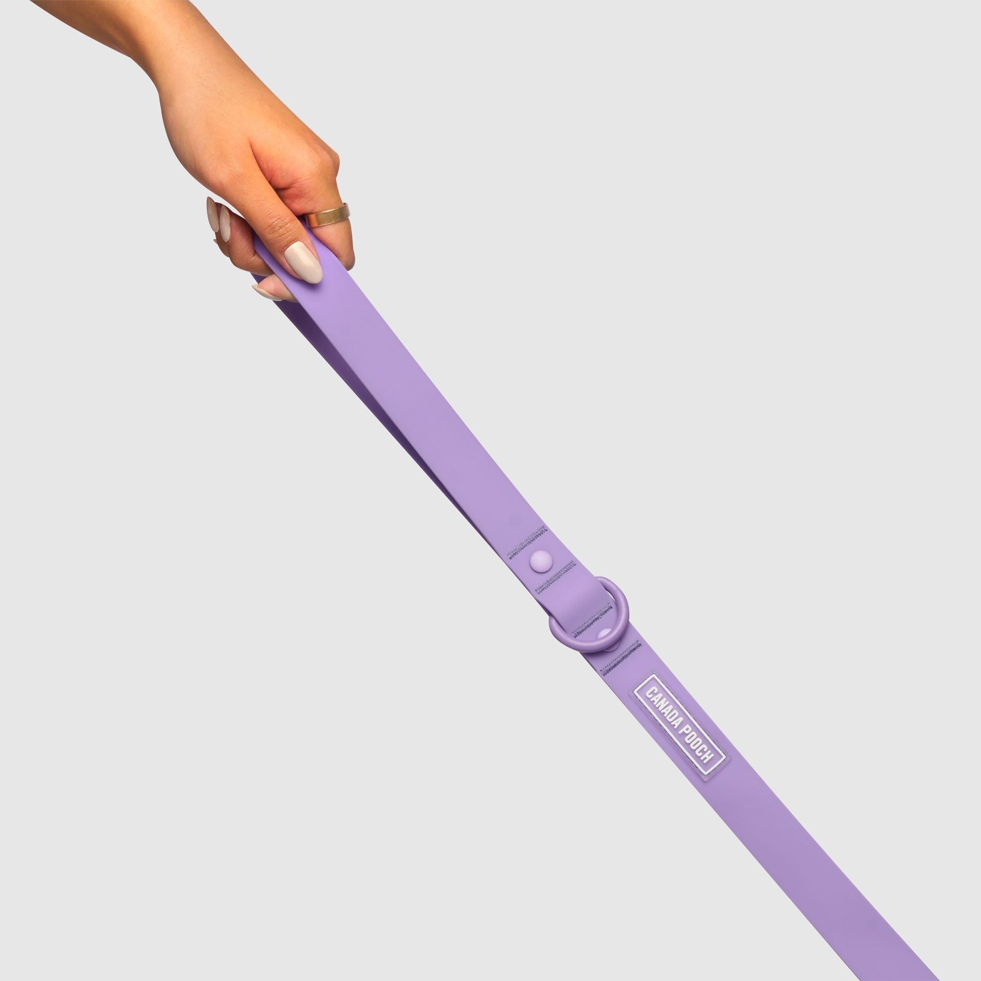 Waterproof Leash - RLEO