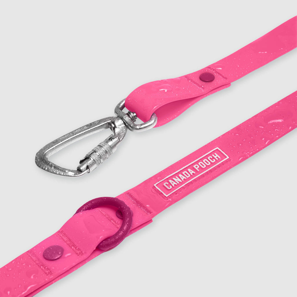 Waterproof Leash - RLEO