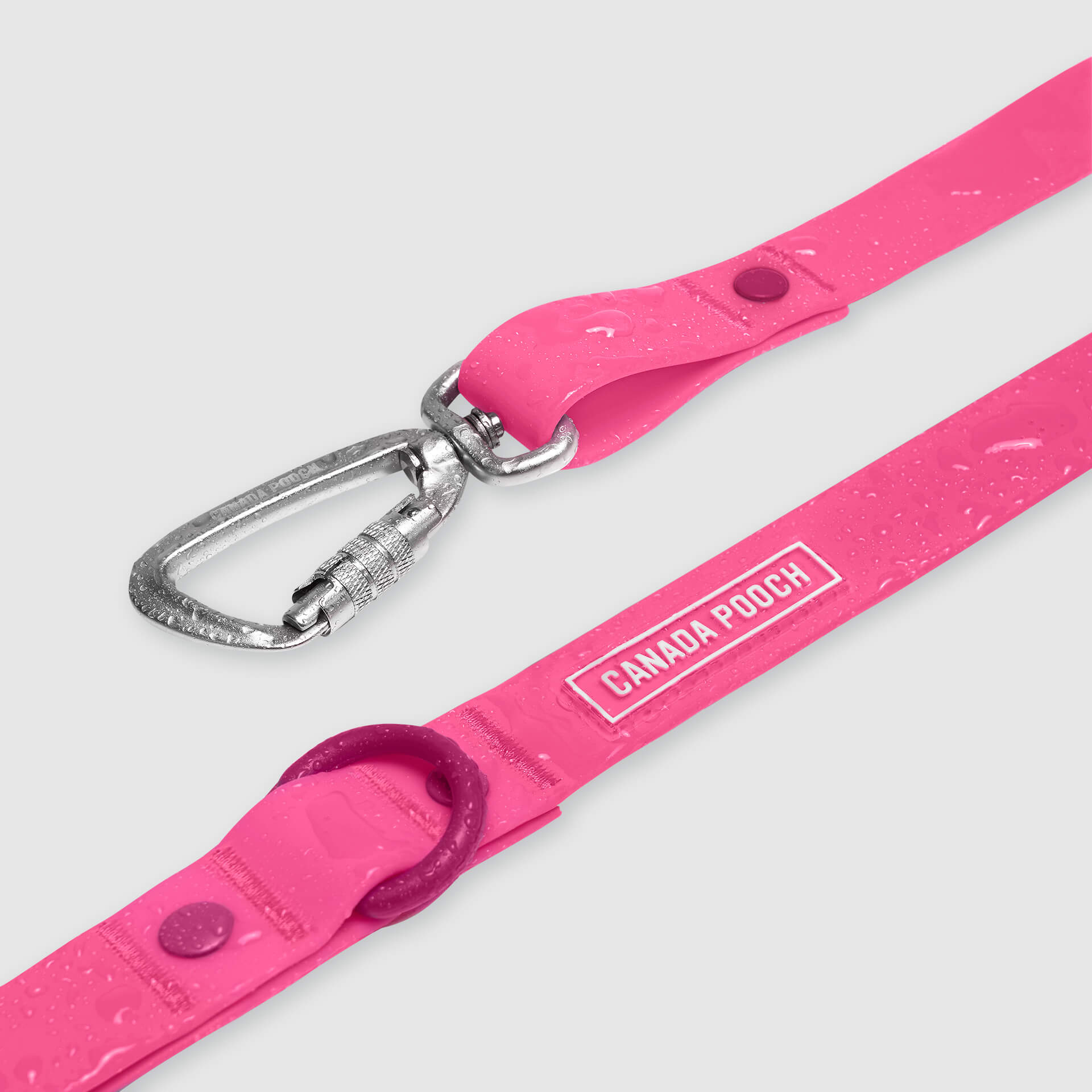 Waterproof Leash - RLEO