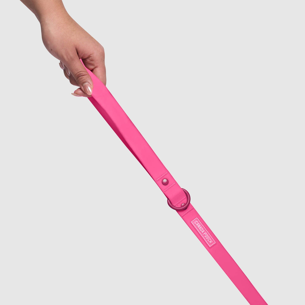 Waterproof Leash - RLEO