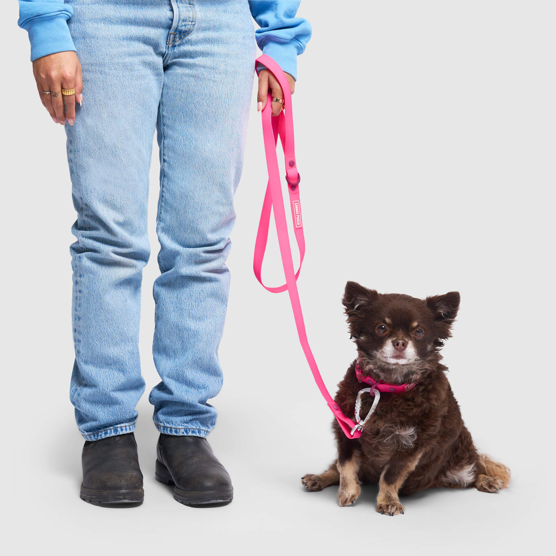 Waterproof Leash - RLEO
