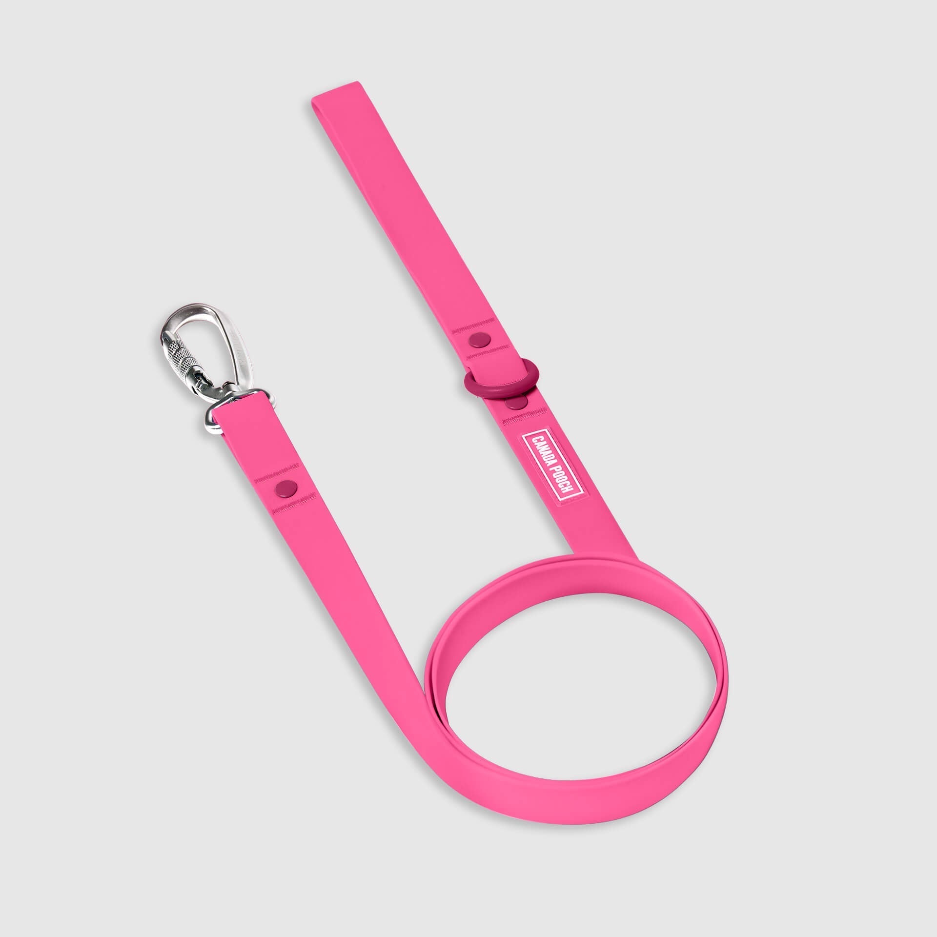 Waterproof Leash - RLEO