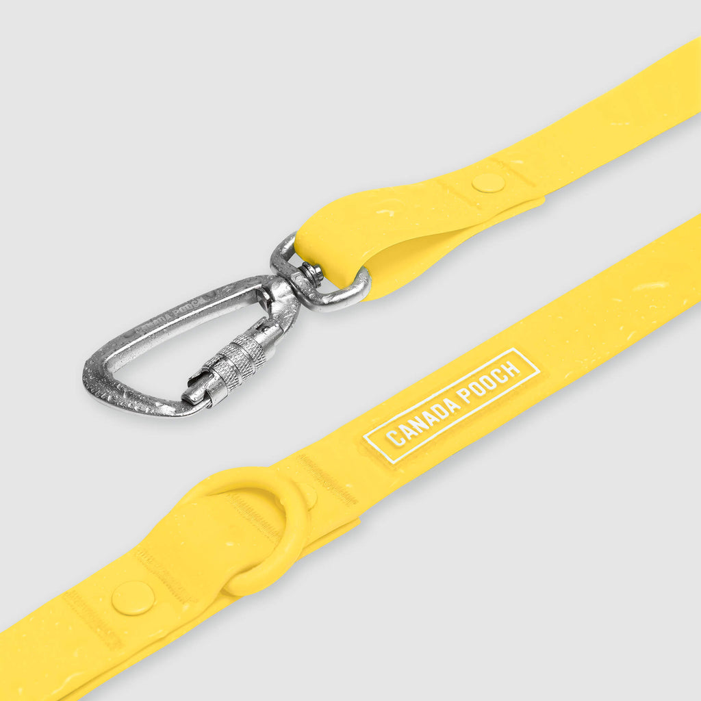 Waterproof Leash - RLEO