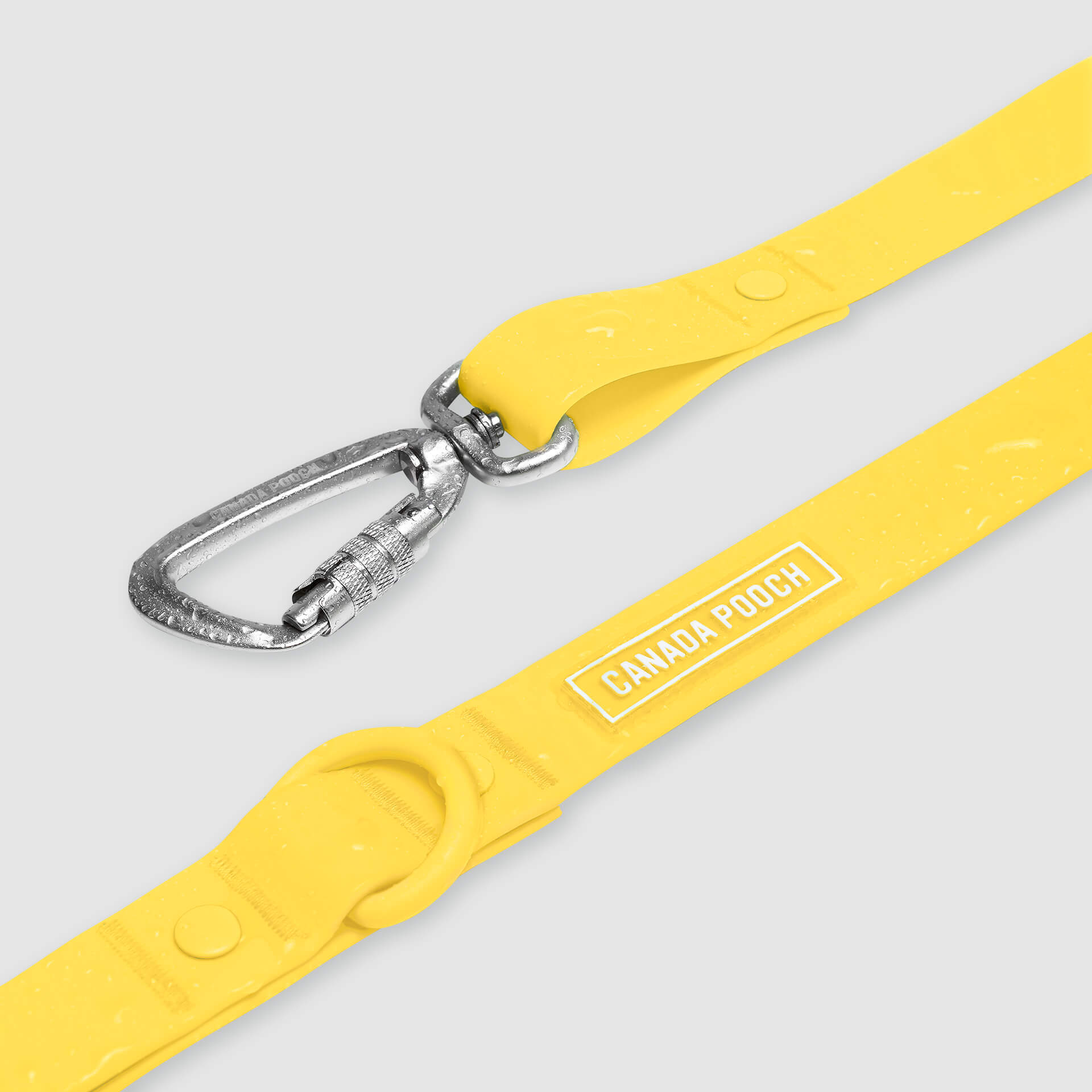 Waterproof Leash - RLEO