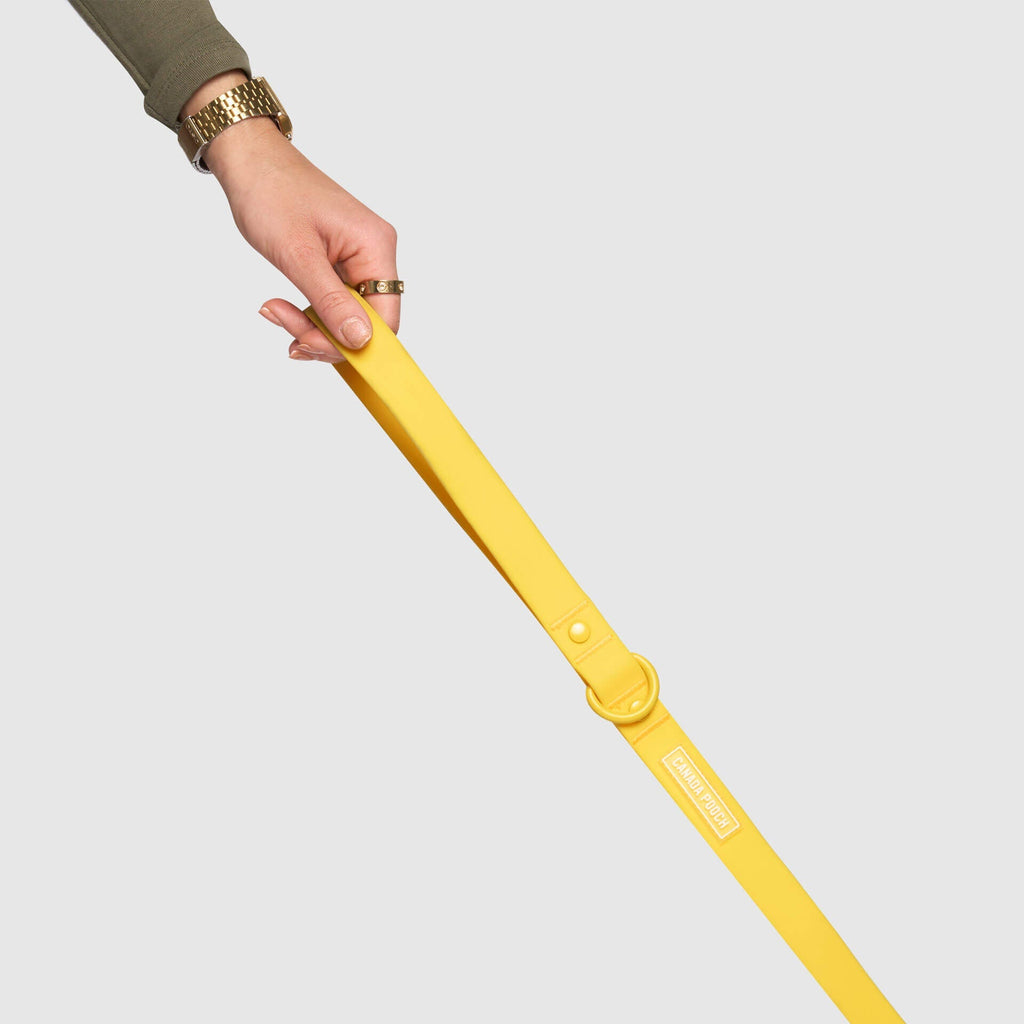 Waterproof Leash - RLEO