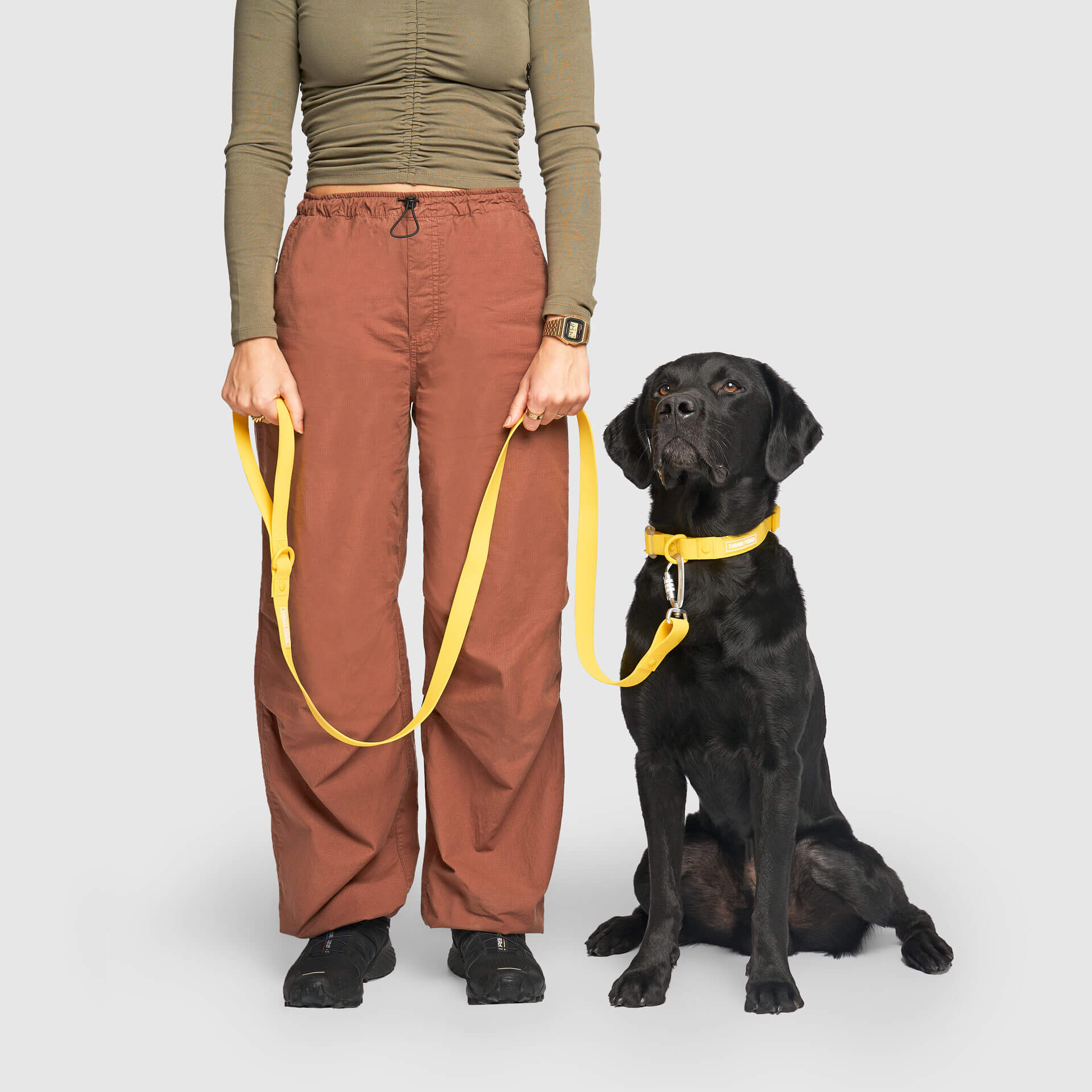 Waterproof Leash - RLEO