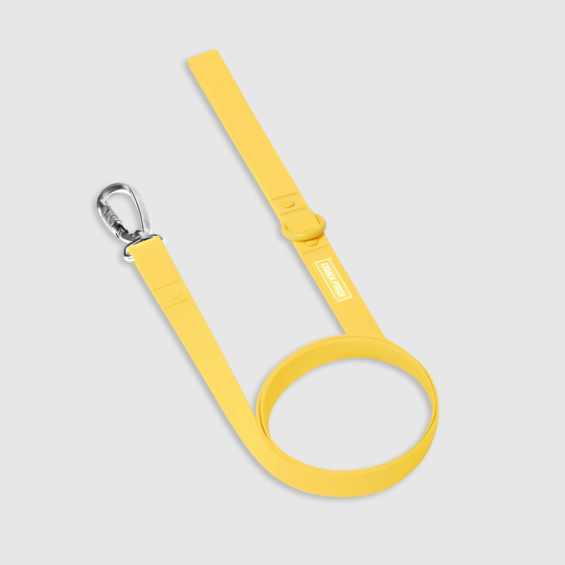 Waterproof Leash - RLEO