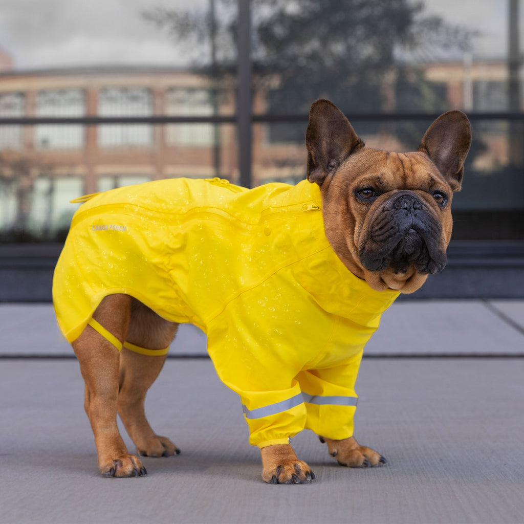 Waterproof Raincoat - BA3U