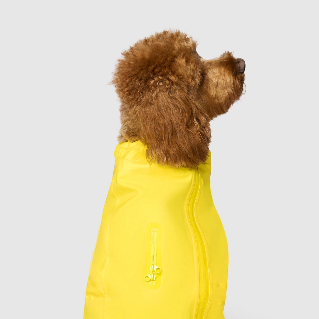 Waterproof Raincoat - BA3U