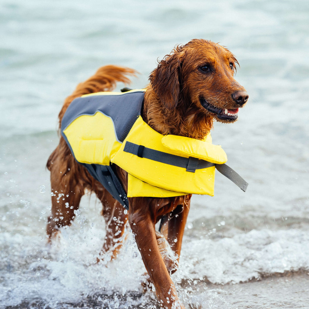 Wave Rider Life Jacket - IMUP