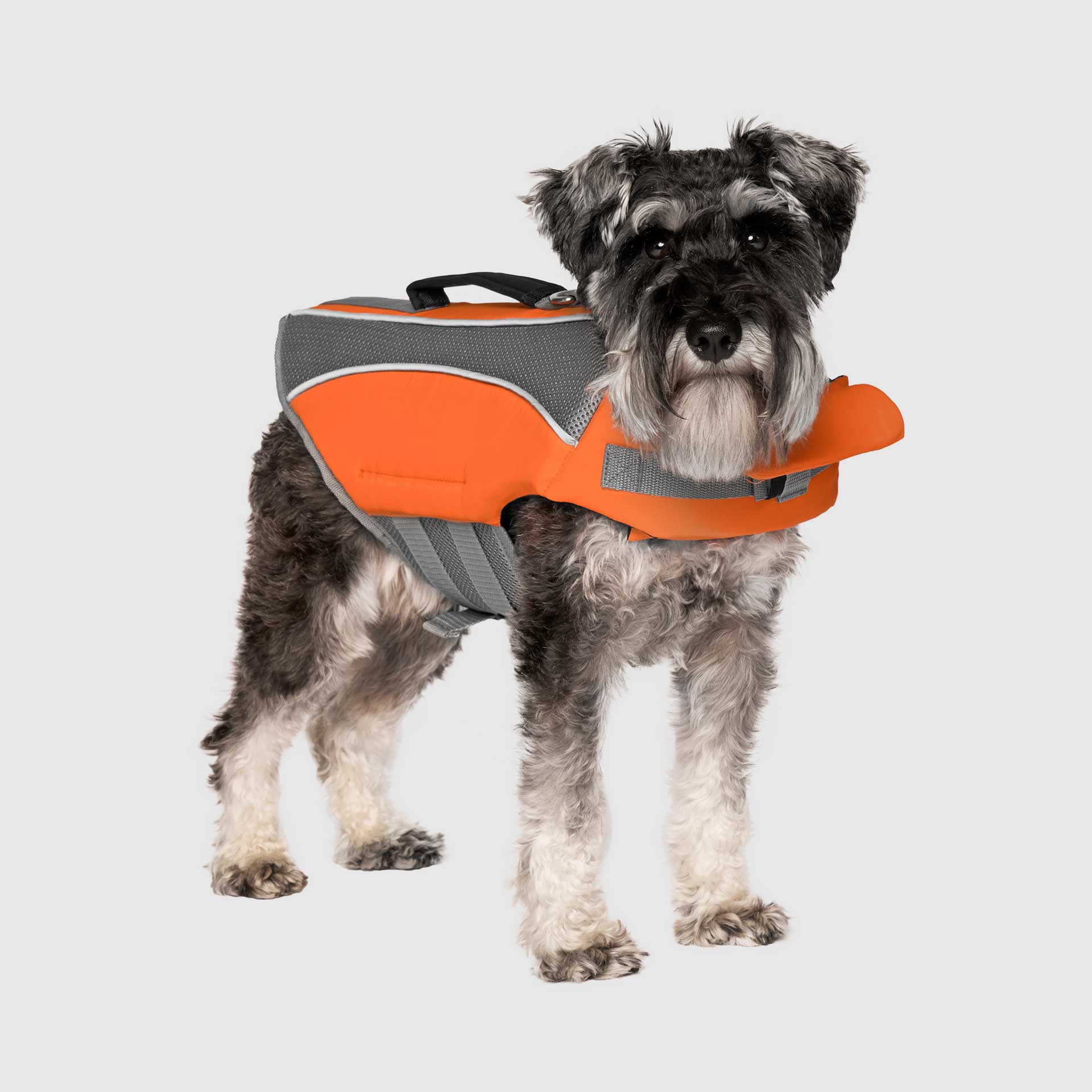 Wave Rider Life Jacket - IMUP