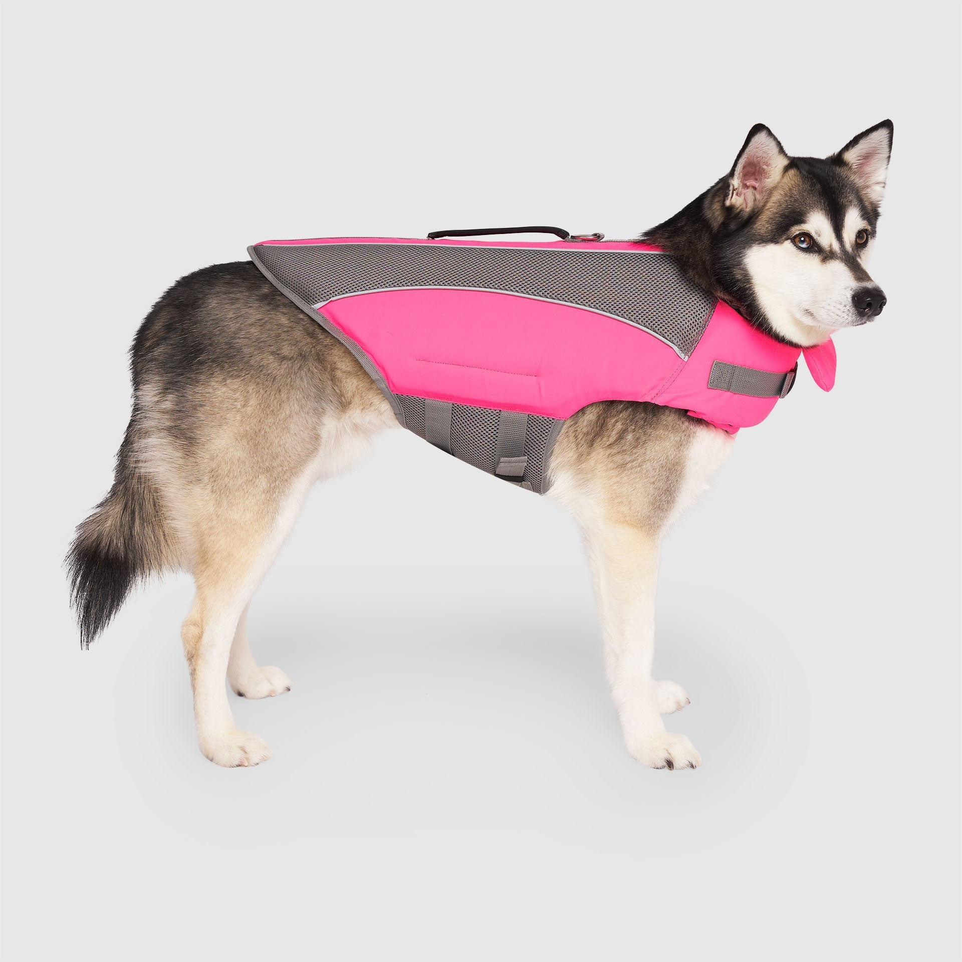 Wave Rider Life Jacket - IMUP