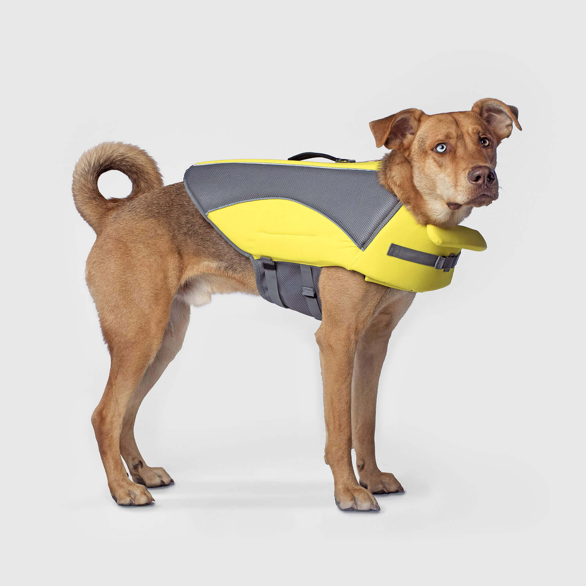 Wave Rider Life Jacket - IMUP