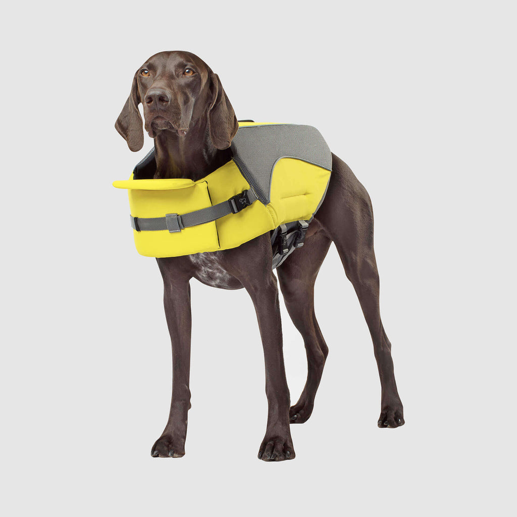 Wave Rider Life Jacket - IMUP