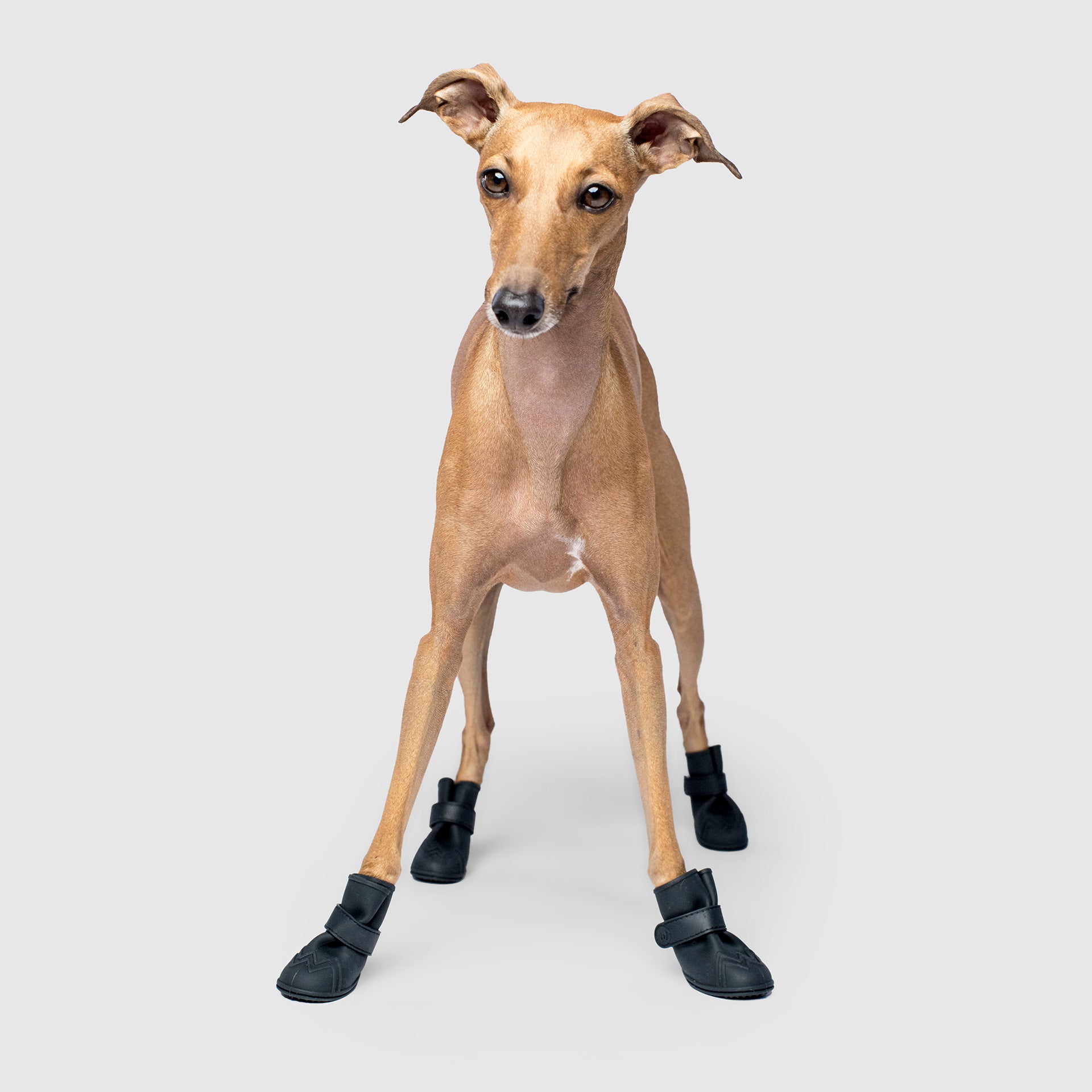 Unlined Wellies - USUV