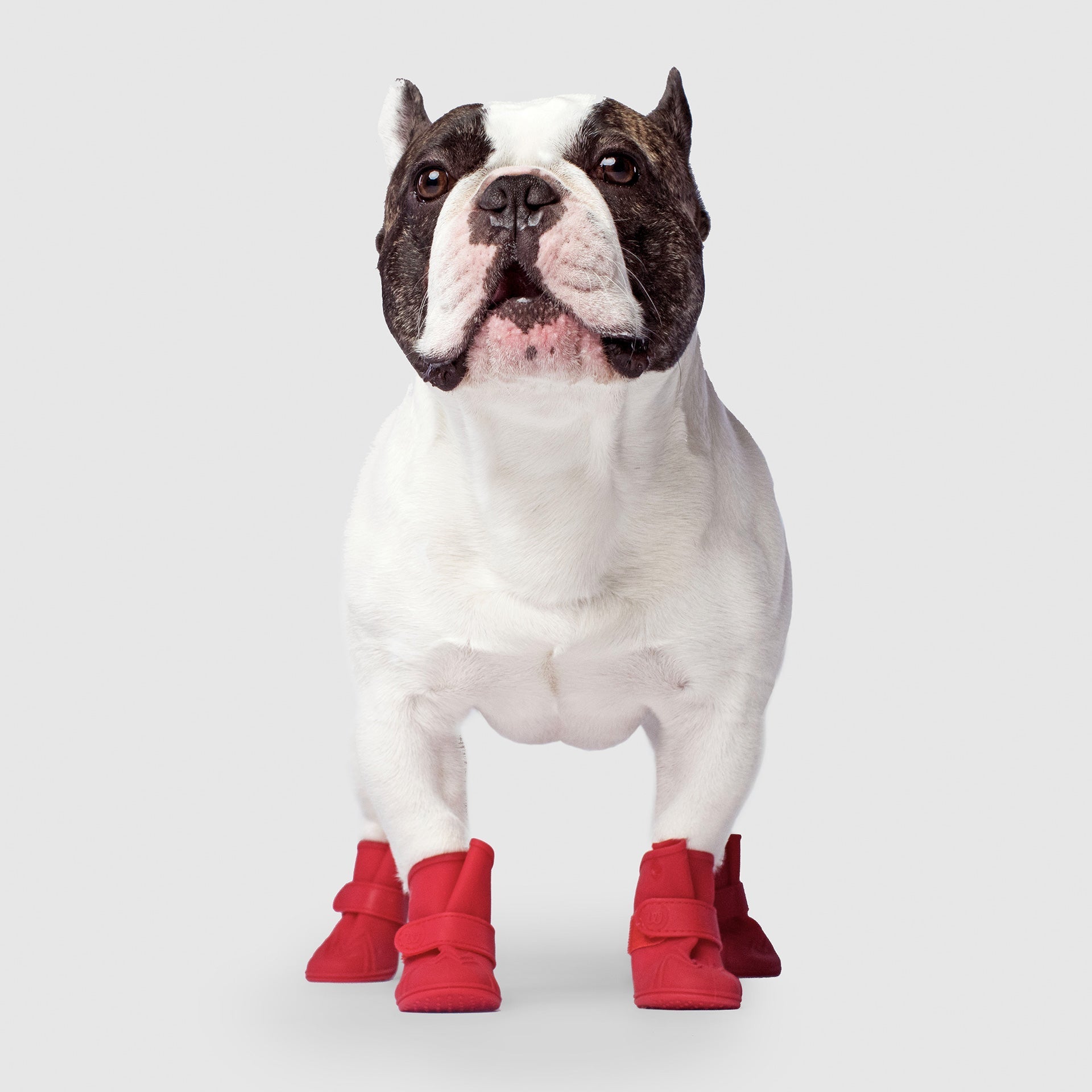 Unlined Wellies - USUV
