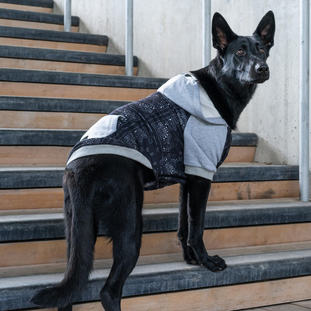 Whatever The Weather Hoodie - YUU8