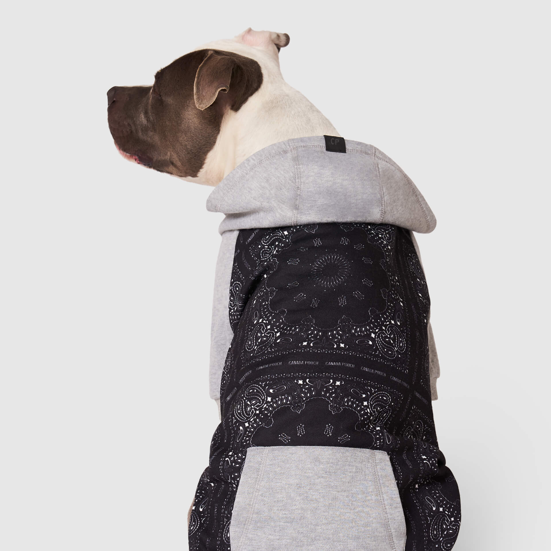 Whatever The Weather Hoodie - YUU8