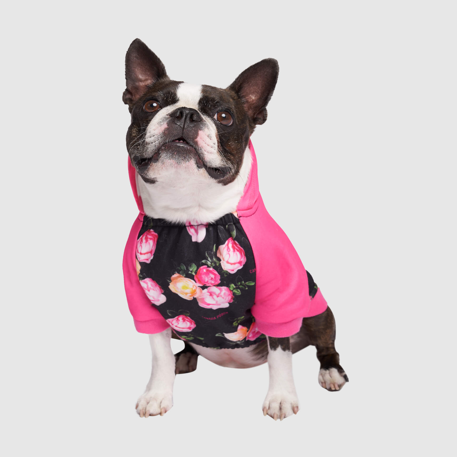 Whatever The Weather Hoodie - YUU8