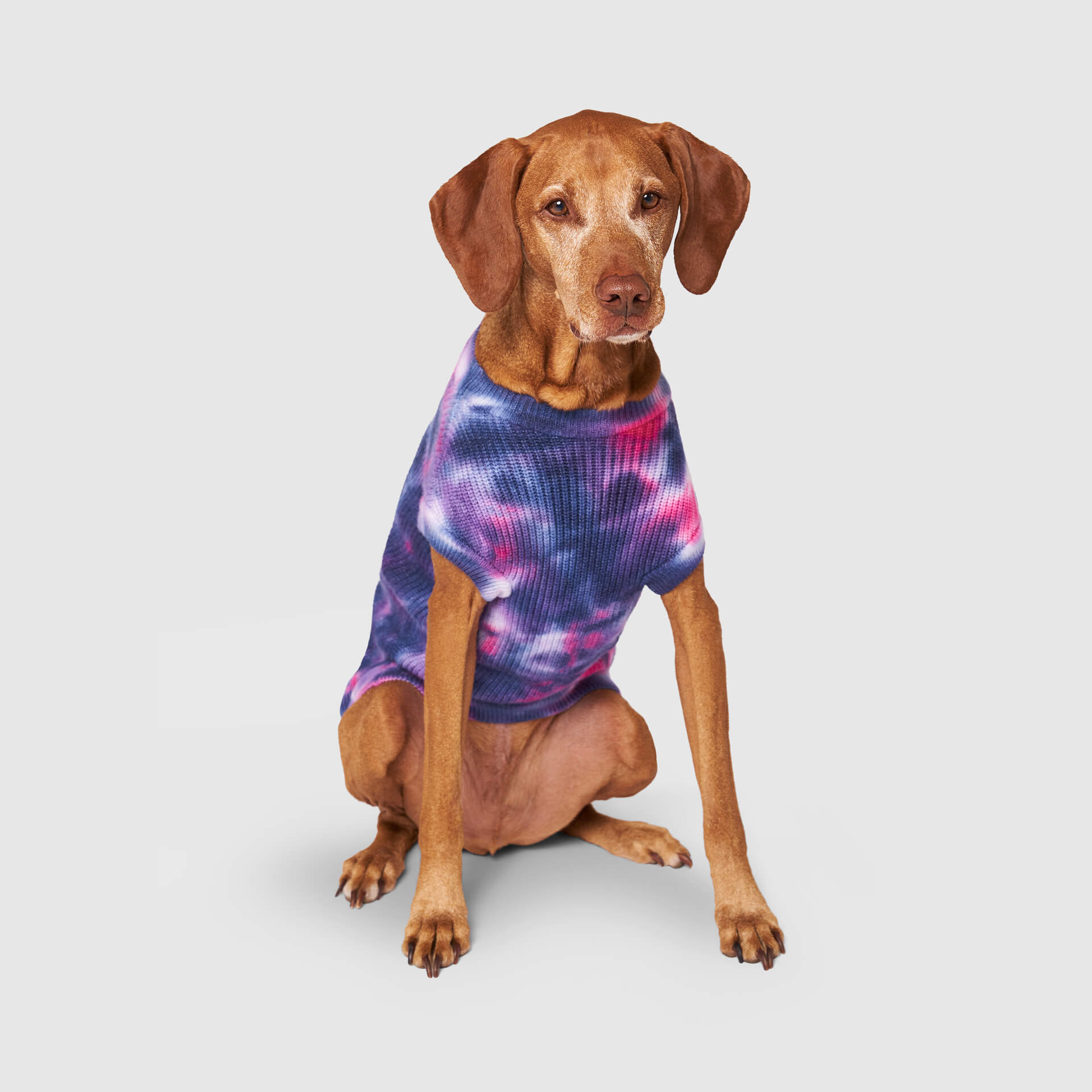 Wild Side Sweater - VRFL